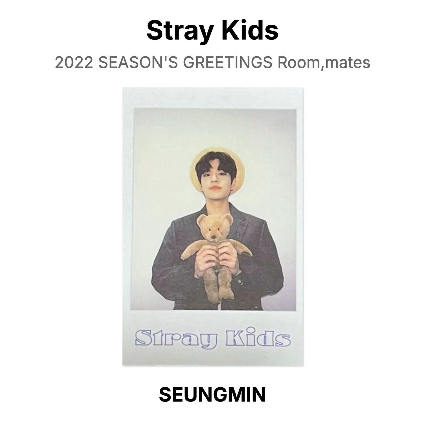 Stray Kids 2022 SEASON'S GREETINGS Room,mates Official Photocard