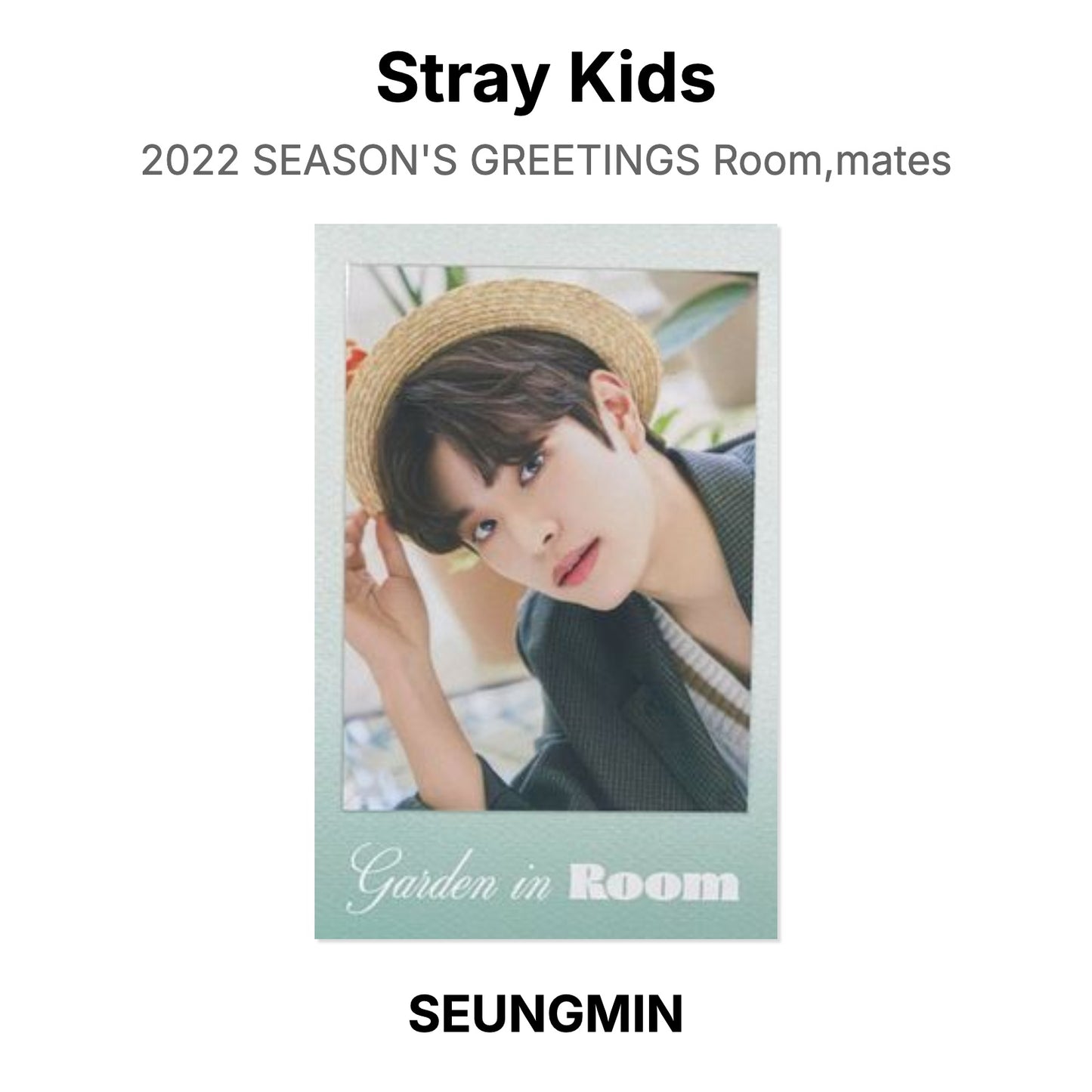 Stray Kids 2022 SEASON'S GREETINGS Room,mates Official Photocard