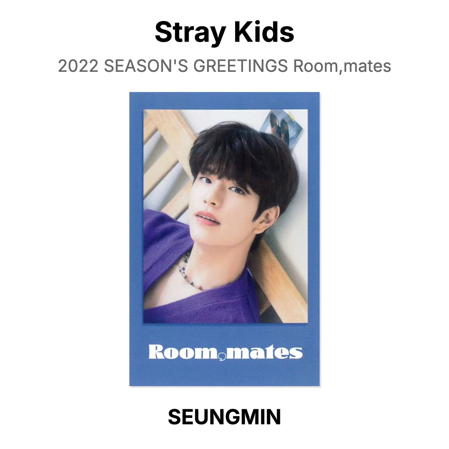 Stray Kids 2022 SEASON'S GREETINGS Room,mates Official Photocard