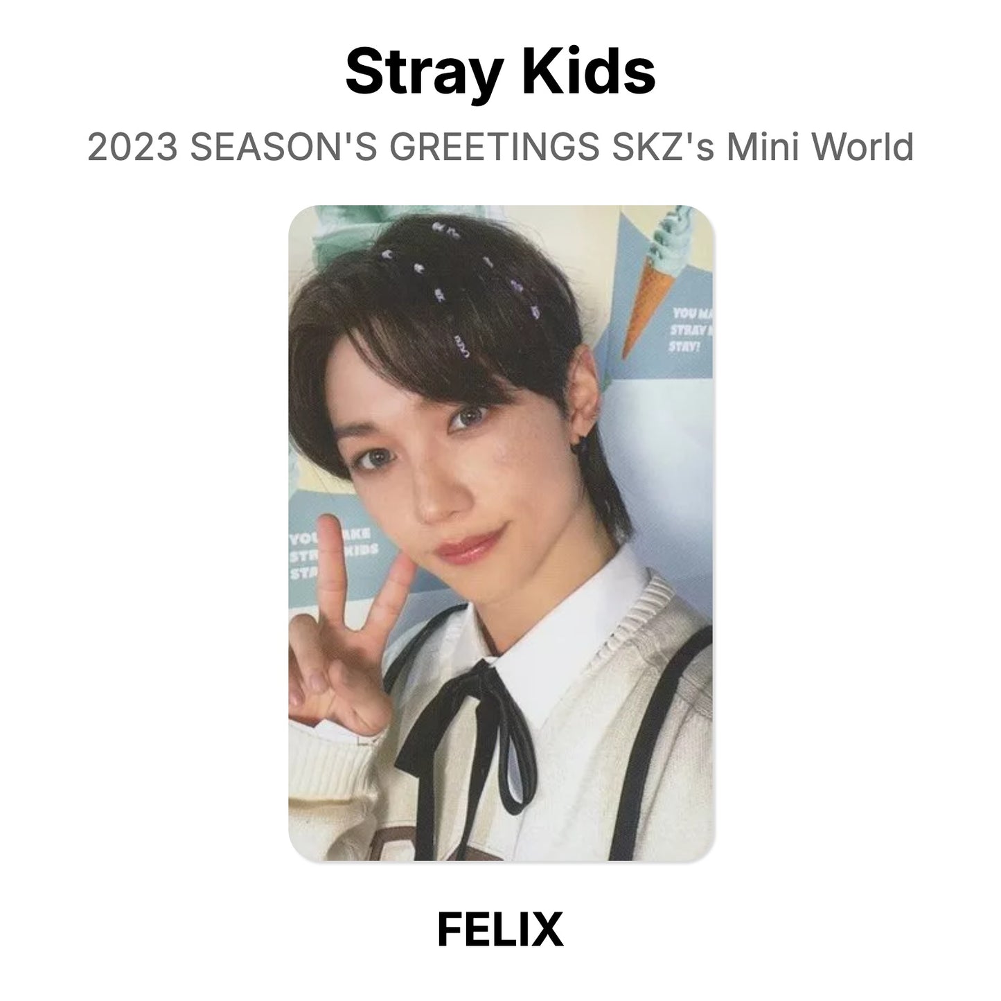 Stray Kids 2023 SEASON'S GREETINGS SKZ's Mini World Official Photocard