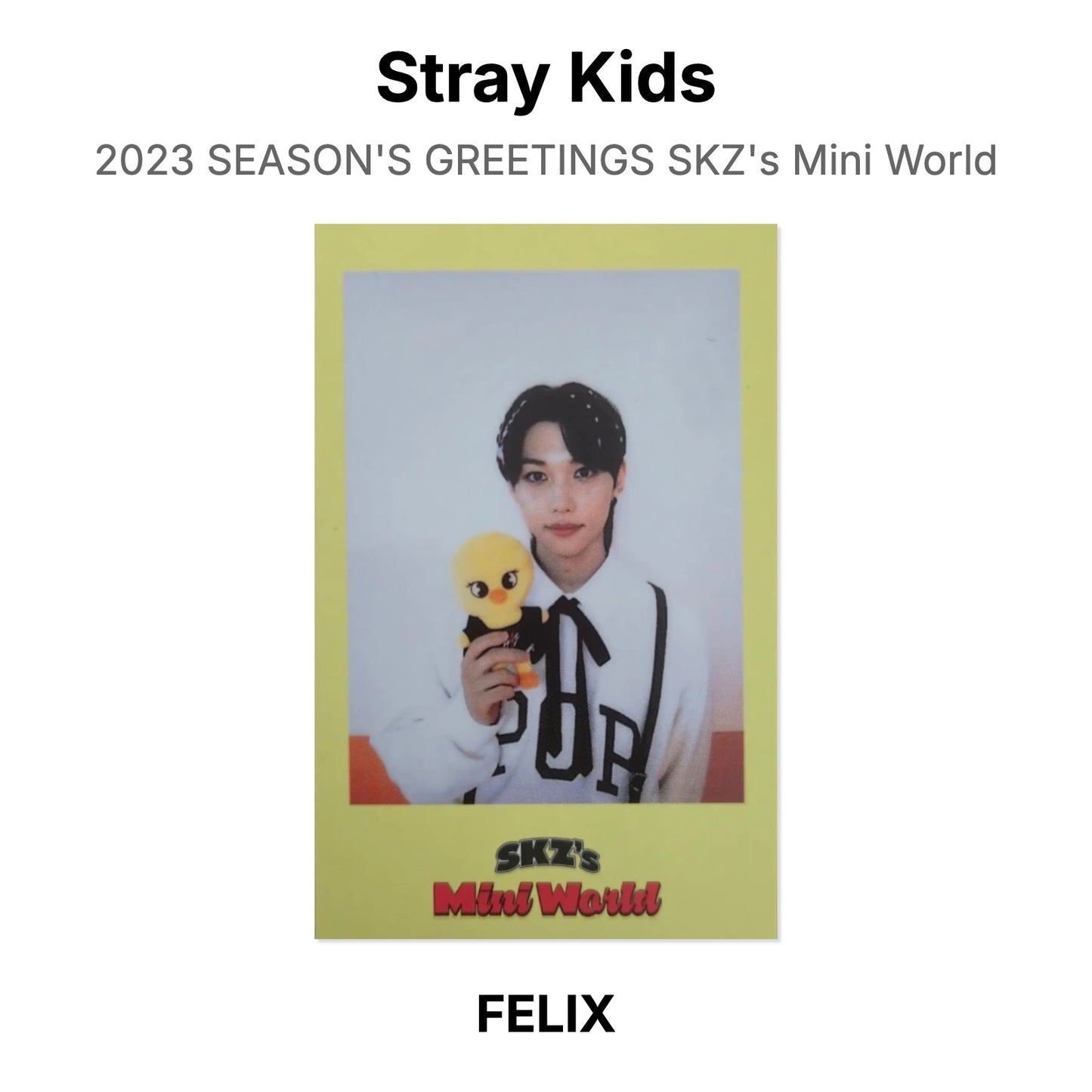 Stray Kids 2023 SEASON'S GREETINGS SKZ's Mini World Official Photocard