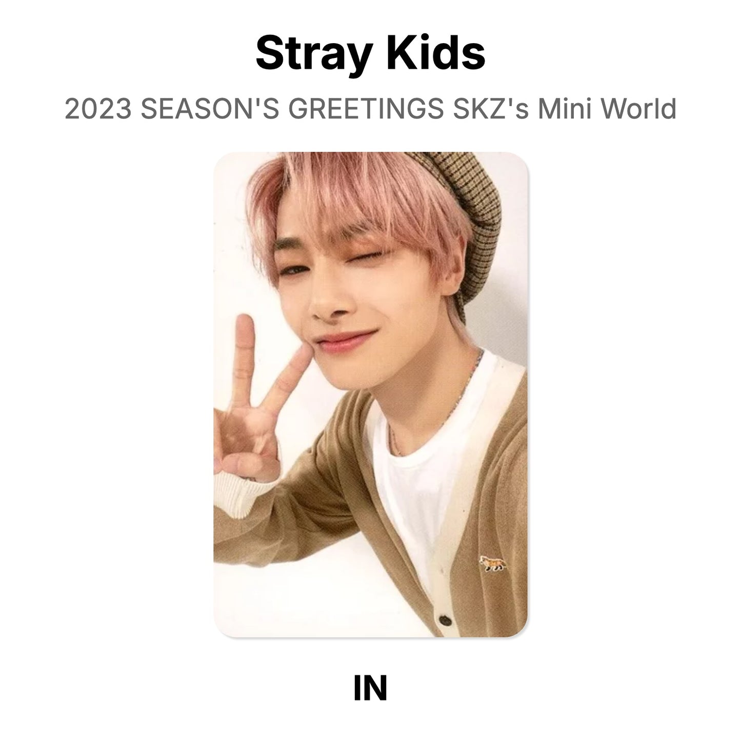 Stray Kids 2023 SEASON'S GREETINGS SKZ's Mini World Official Photocard