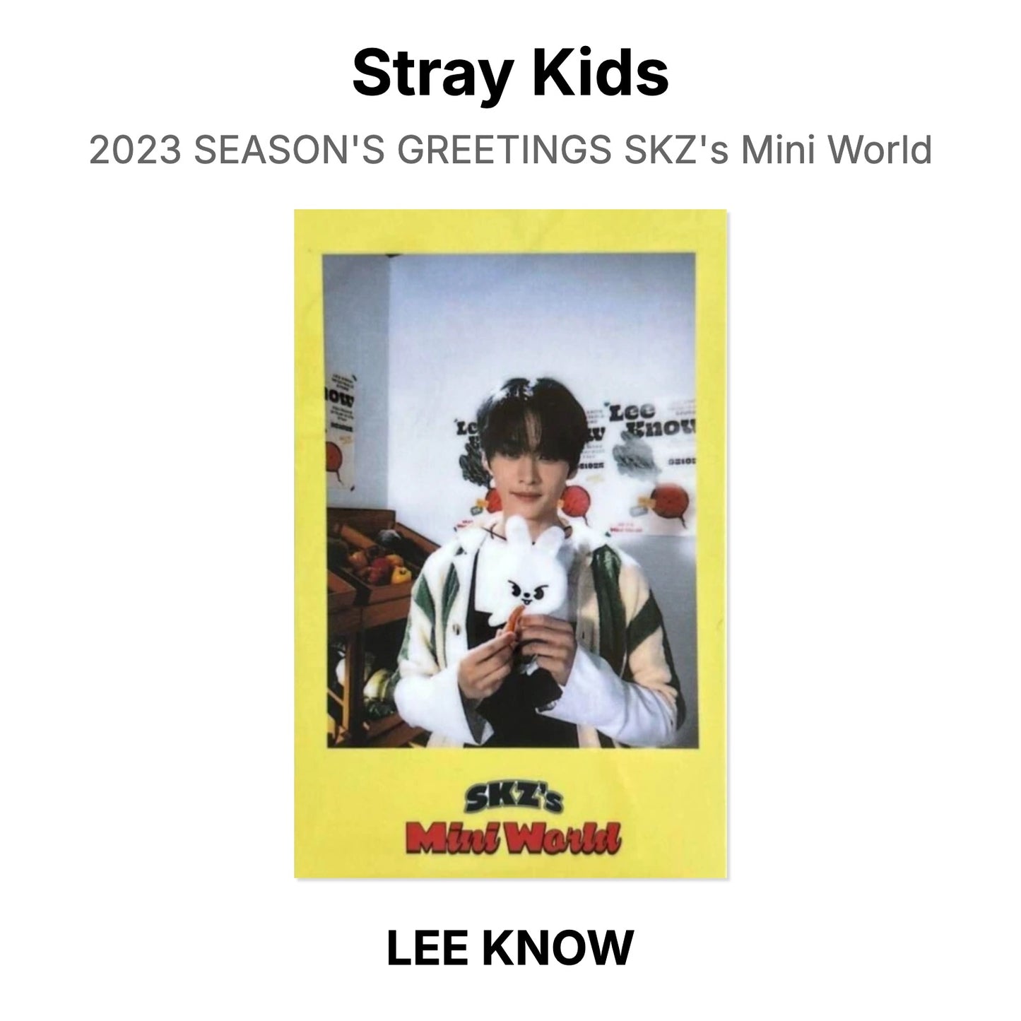 Stray Kids 2023 SEASON'S GREETINGS SKZ's Mini World Official Photocard