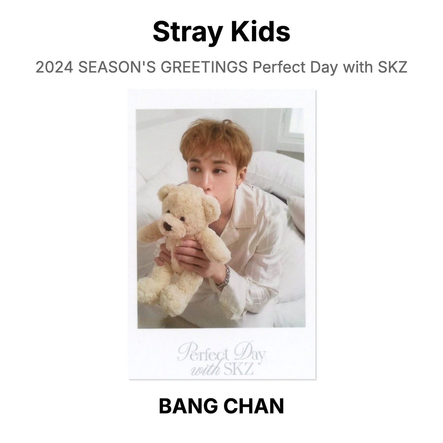 Stray Kids 2024 SEASON'S GREETINGS Perfect Day with SKZ photocard oficial