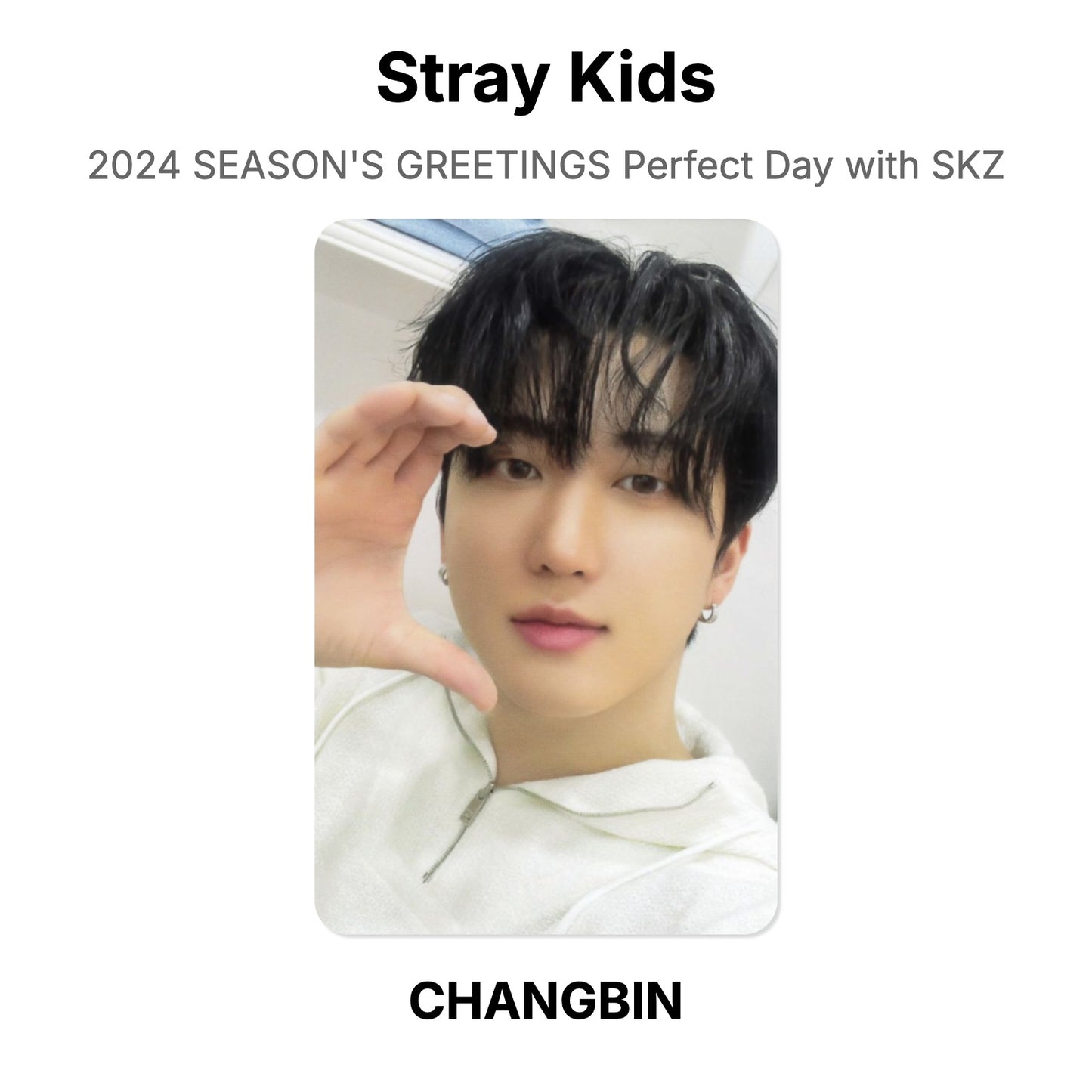 Stray Kids 2024 SEASON'S GREETINGS Perfect Day with SKZ photocard oficial