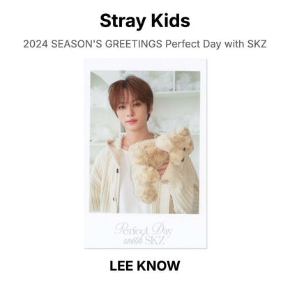 Stray Kids 2024 SEASON'S GREETINGS Perfect Day with SKZ photocard oficial