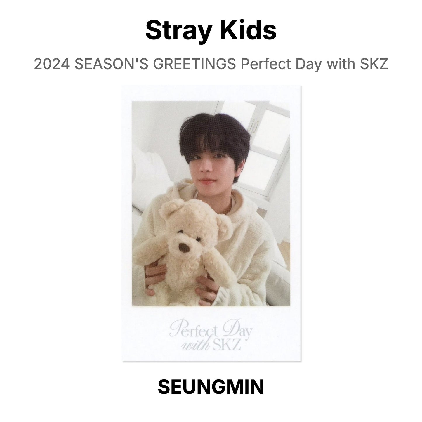 Stray Kids 2024 SEASON'S GREETINGS Perfect Day with SKZ photocard oficial
