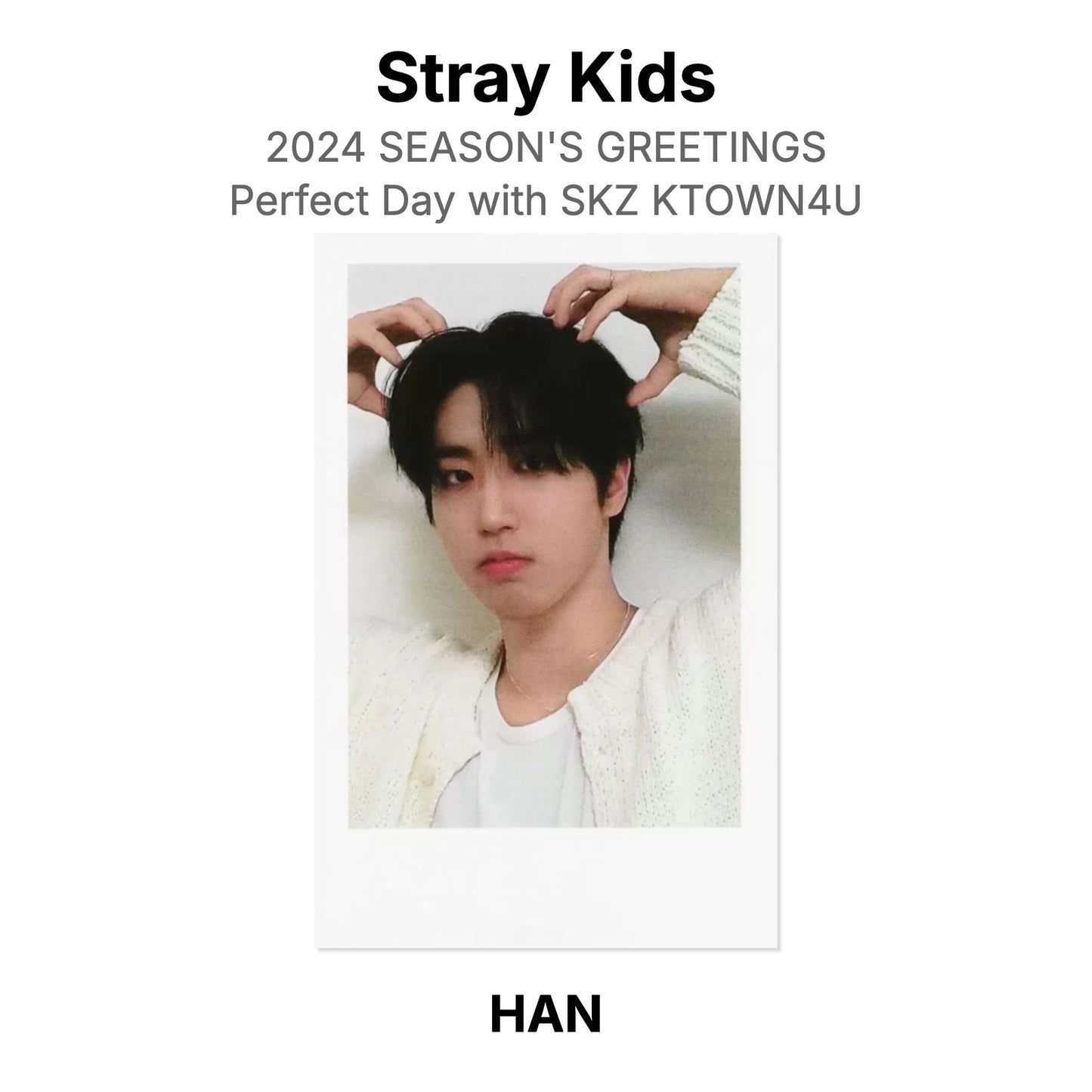 Stray Kids 2024 SEASON'S GREETINGS Perfect Day with SKZ KTOWN4U Official Photocard