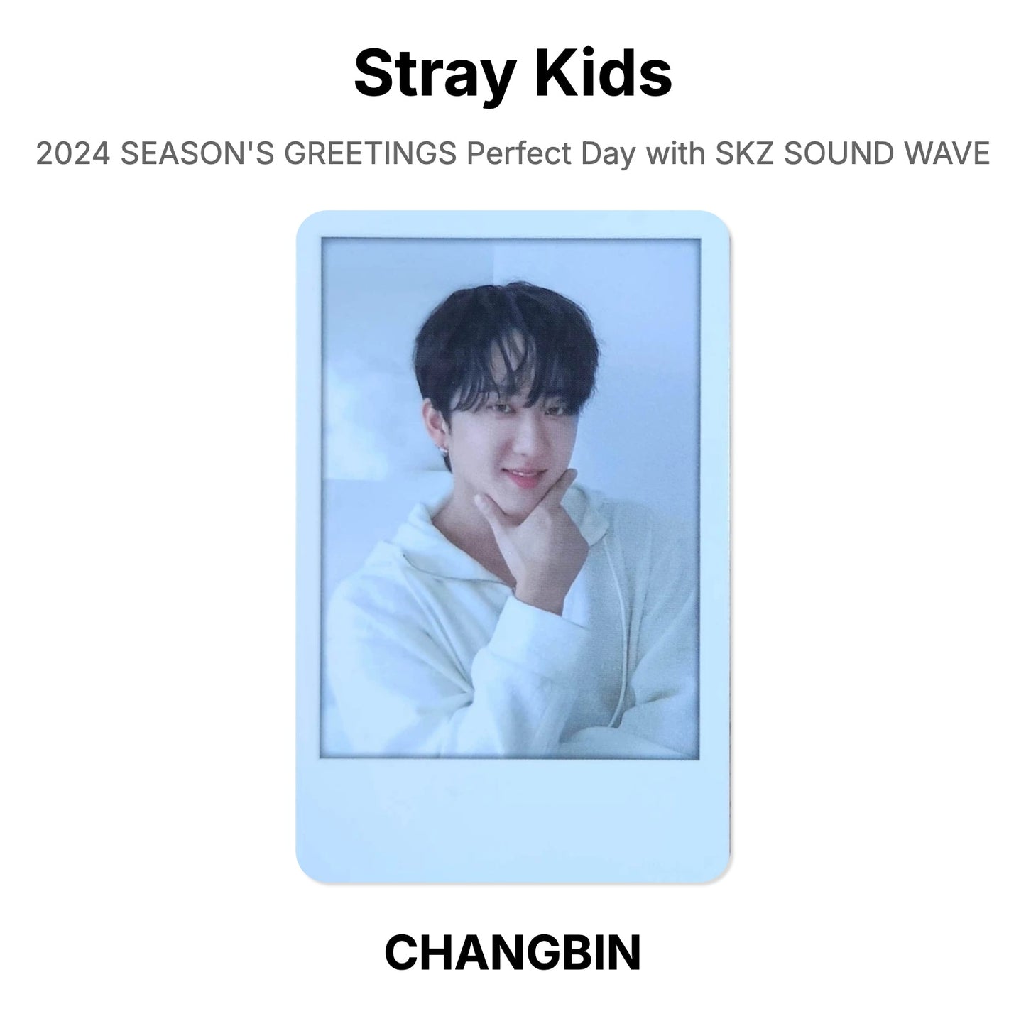 Stray Kids 2024 SEASON'S GREETINGS Perfect Day with SKZ SOUND WAVE Official Photocard