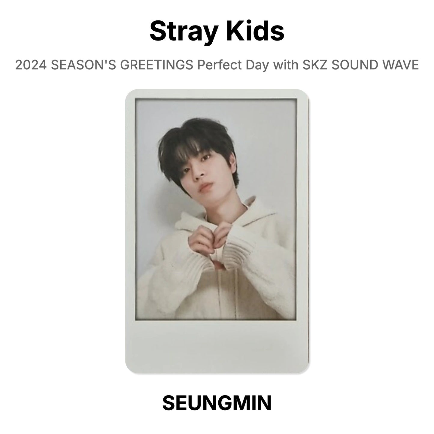 Stray Kids 2024 SEASON'S GREETINGS Perfect Day with SKZ SOUND WAVE Official Photocard