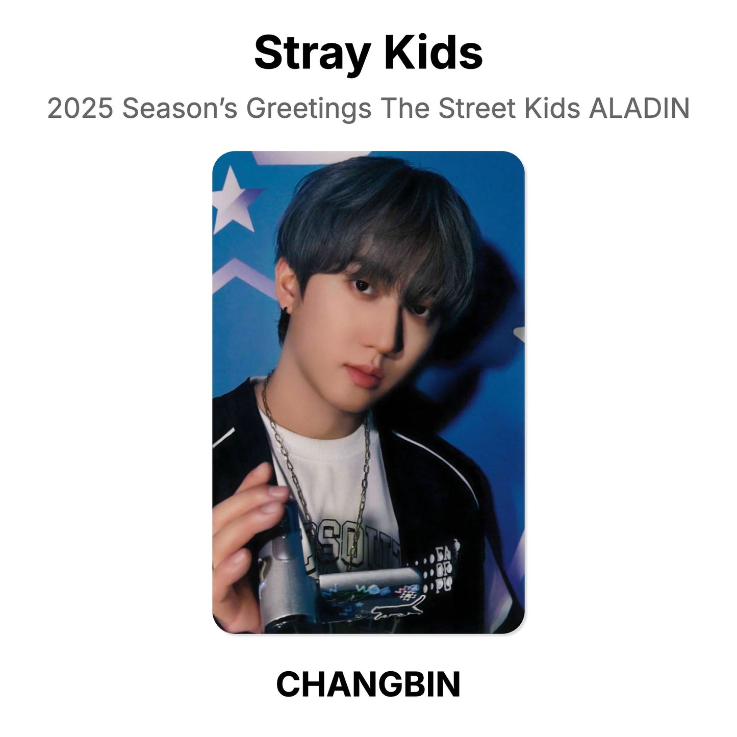 Stray Kids 2025 Season’s Greetings The Street Kids ALADIN Official Photocard