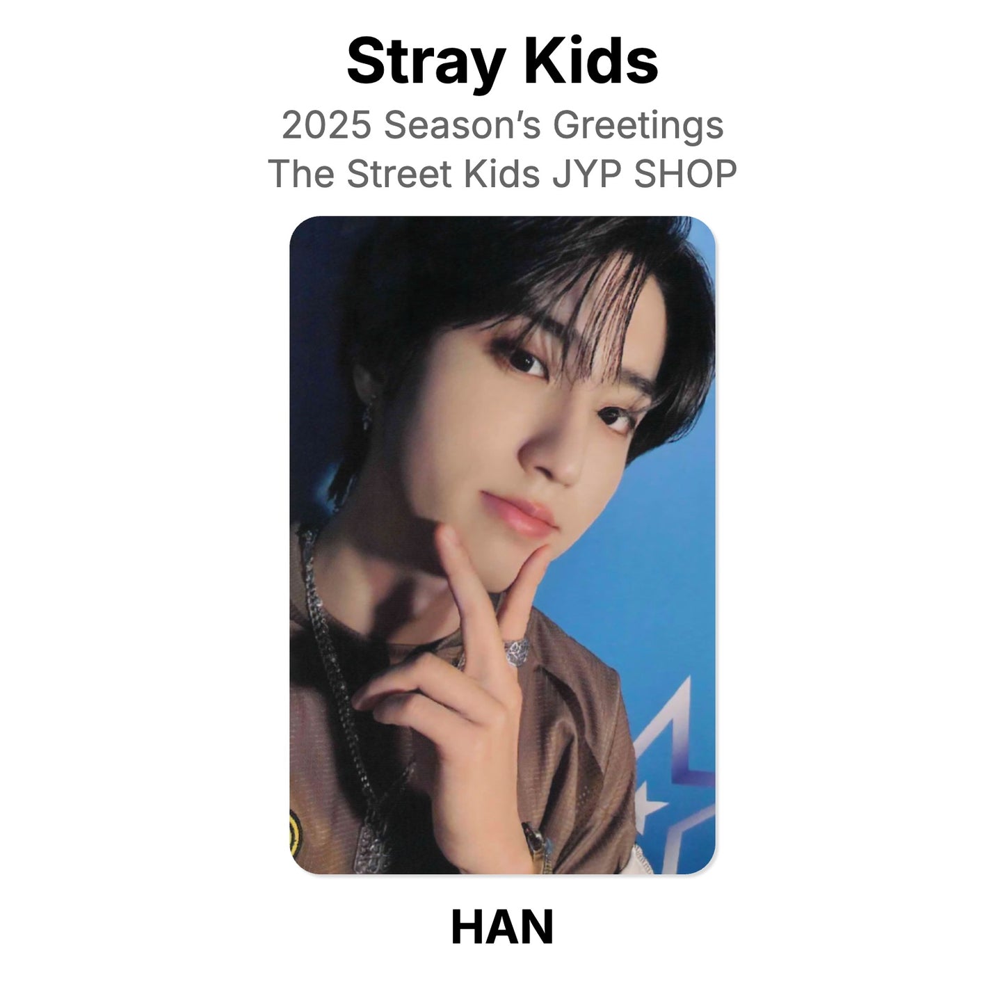 Stray Kids 2025 Season’s Greetings The Street Kids JYP SHOP Official Photocard