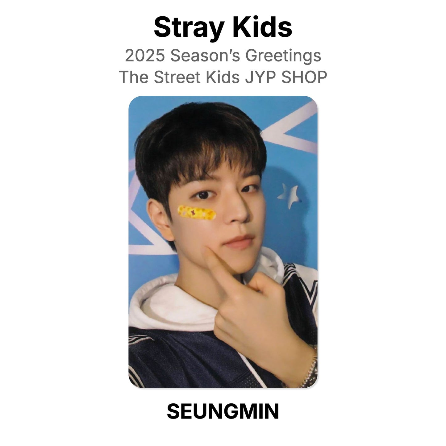 Stray Kids 2025 Season’s Greetings The Street Kids JYP SHOP Official Photocard