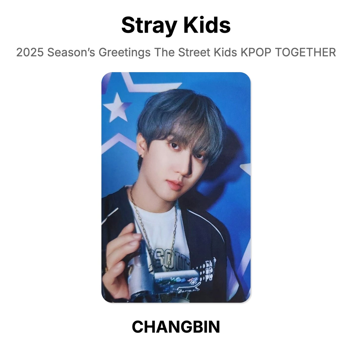 Stray Kids 2025 Season’s Greetings The Street Kids KPOP TOGETHER Official Photocard