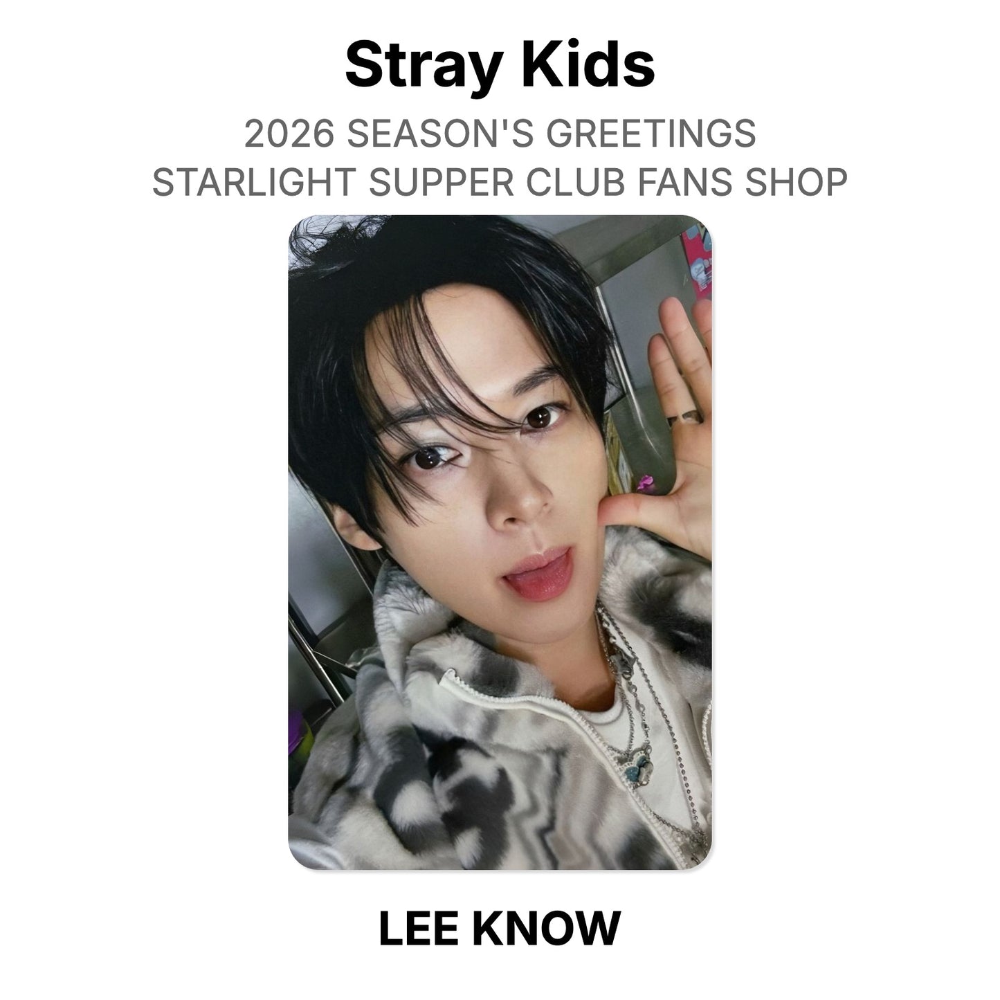 Stray Kids 2026 SEASON'S GREETINGS STARLIGHT SUPPER CLUB FANS SHOP официальная фотокарта