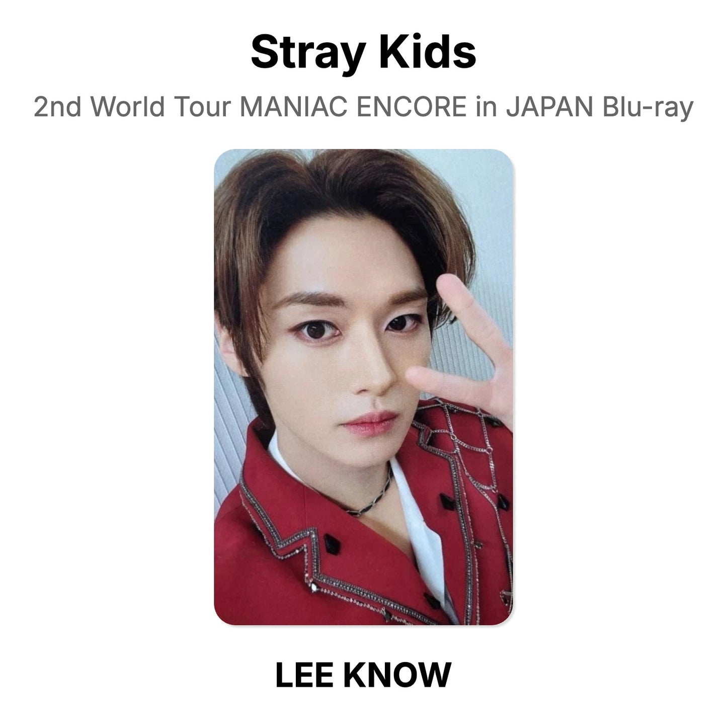 Stray Kids 2nd World Tour MANIAC ENCORE in JAPAN Blu-ray Official Photocard
