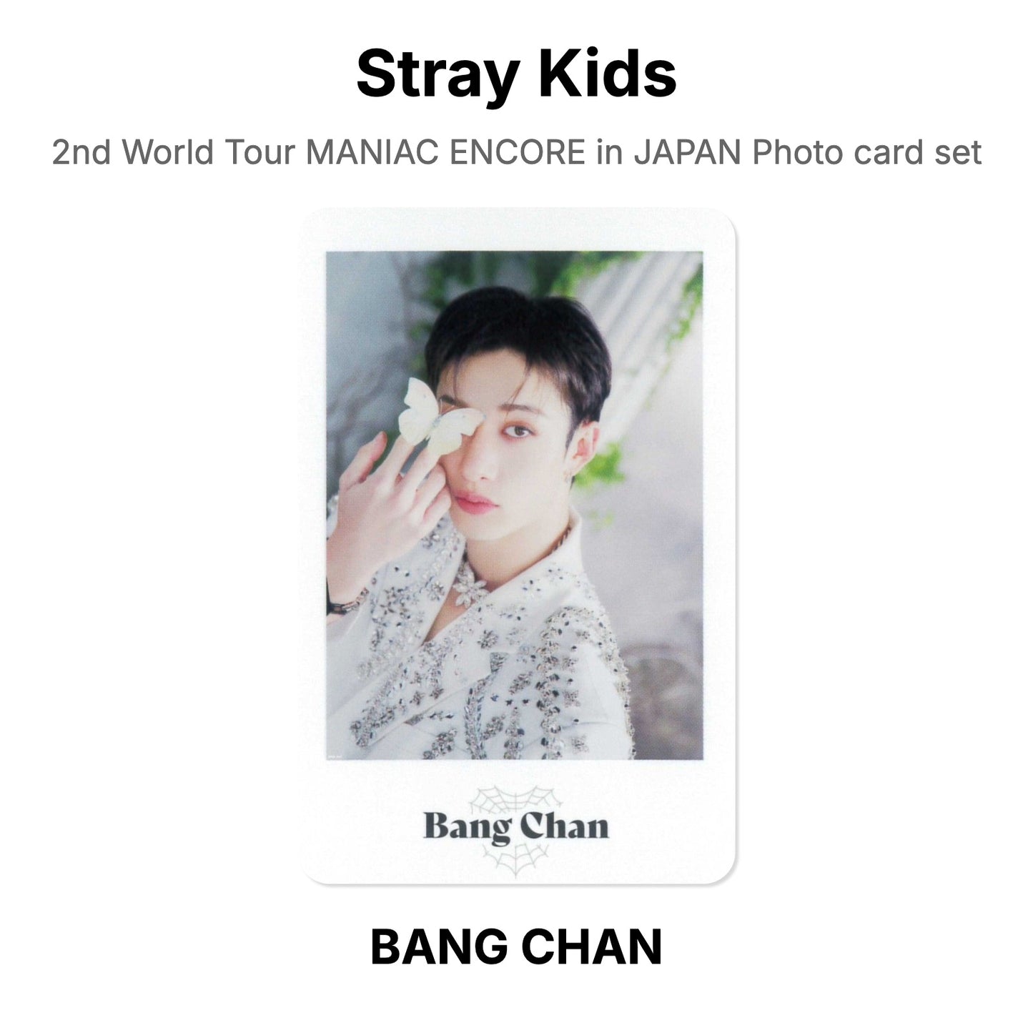 Stray Kids 2nd World Tour MANIAC ENCORE in JAPAN Photo card set Official Photocard