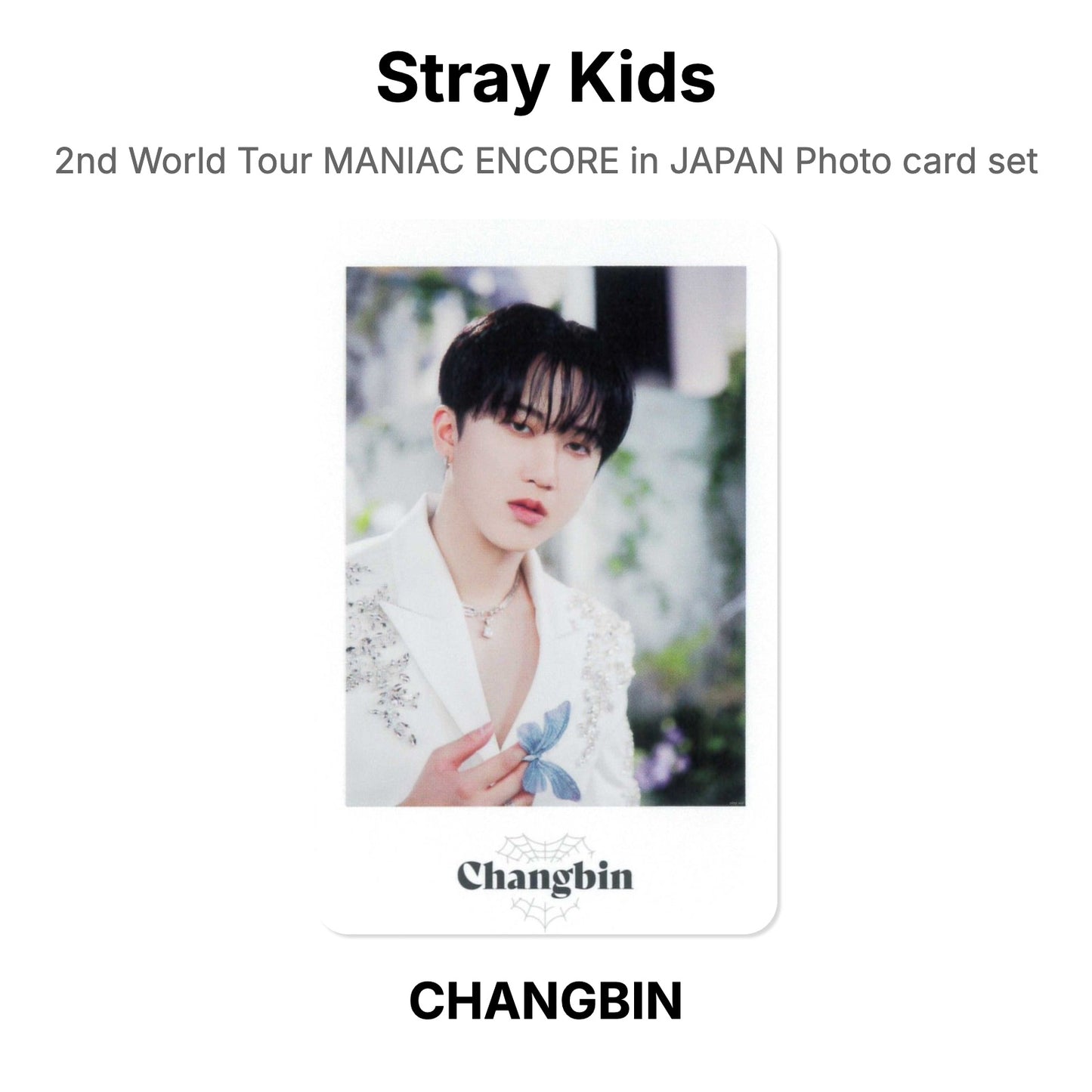 Stray Kids 2nd World Tour MANIAC ENCORE in JAPAN Photo card set Official Photocard
