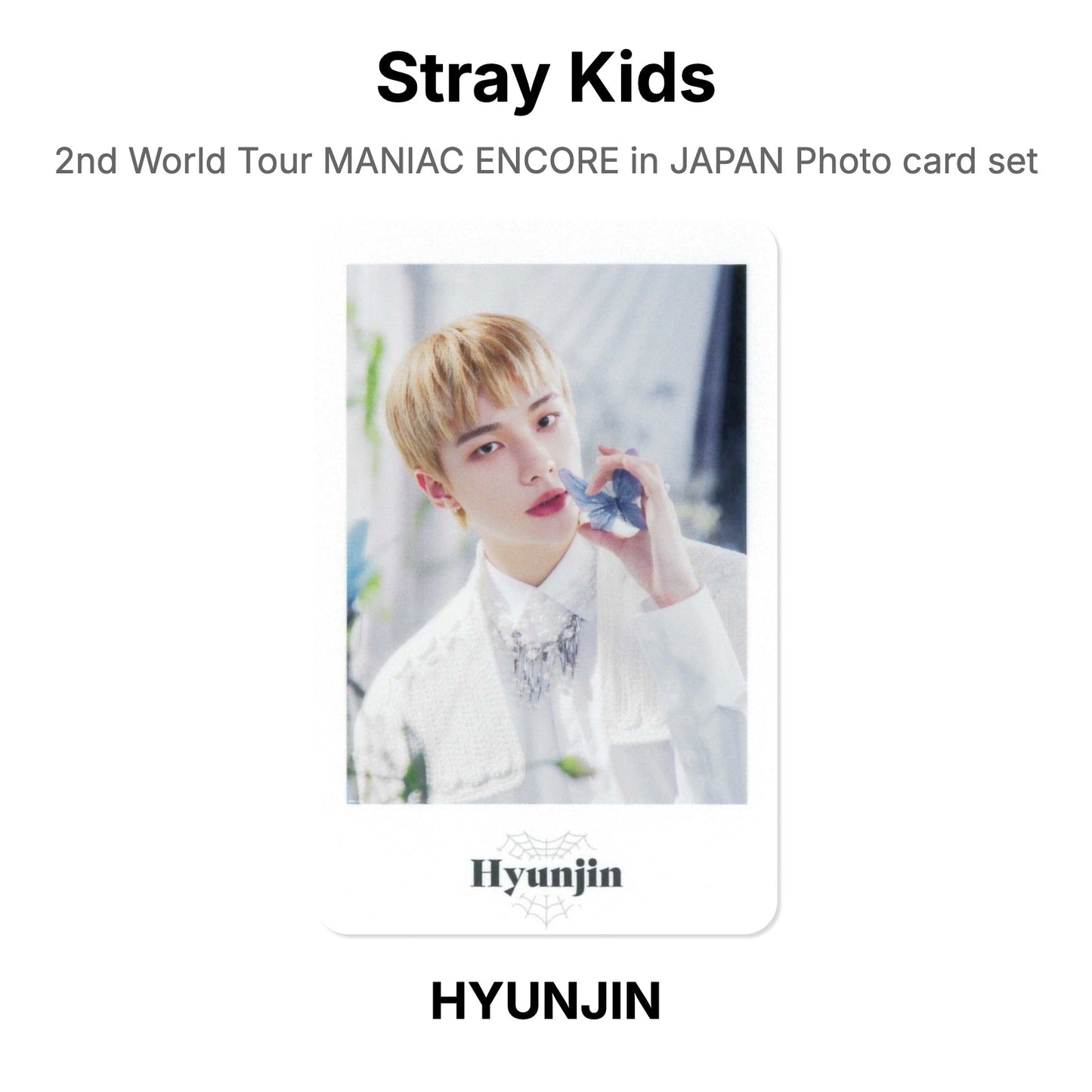 Stray Kids 2nd World Tour MANIAC ENCORE in JAPAN Photo card set Official Photocard