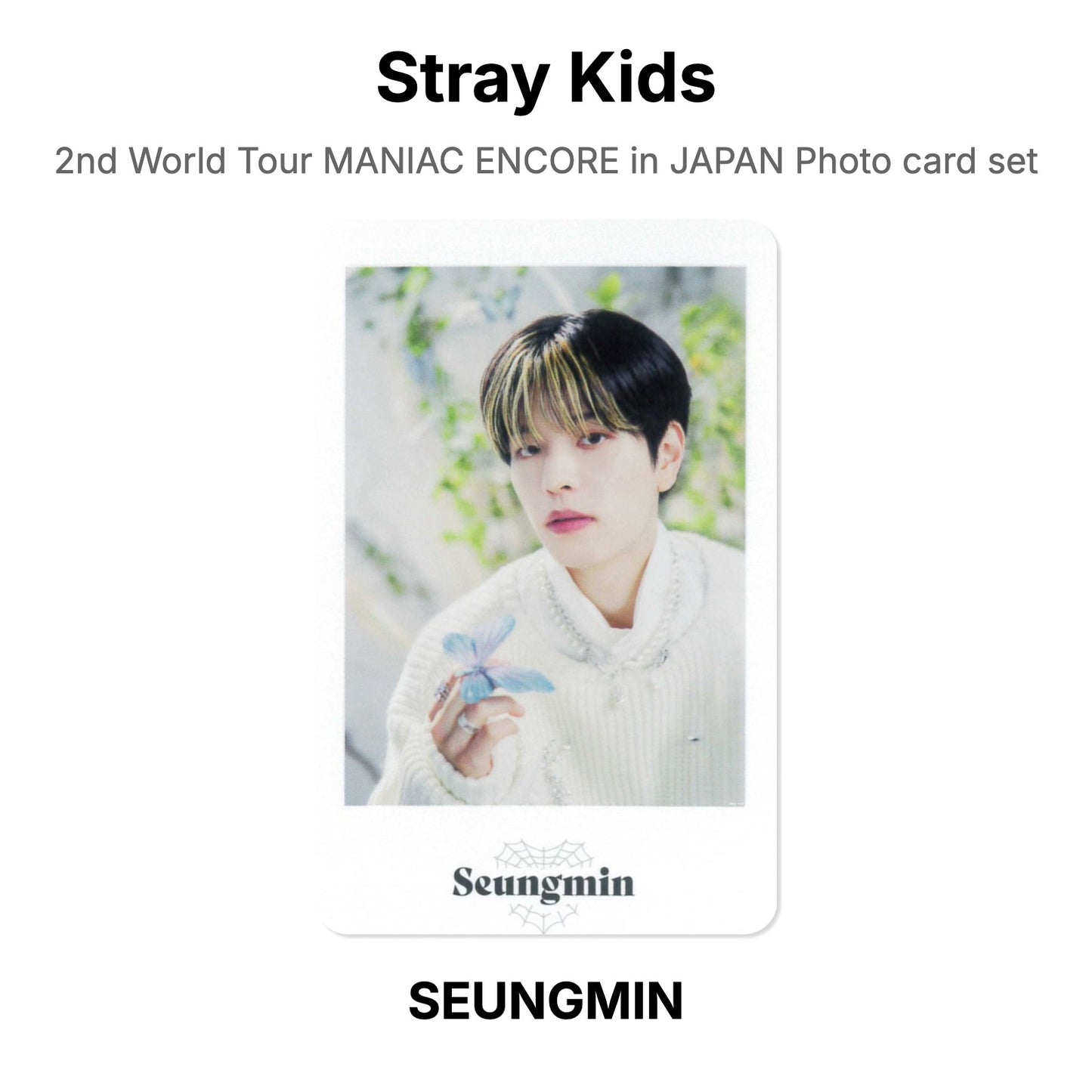 Stray Kids 2nd World Tour MANIAC ENCORE in JAPAN Photo card set Official Photocard