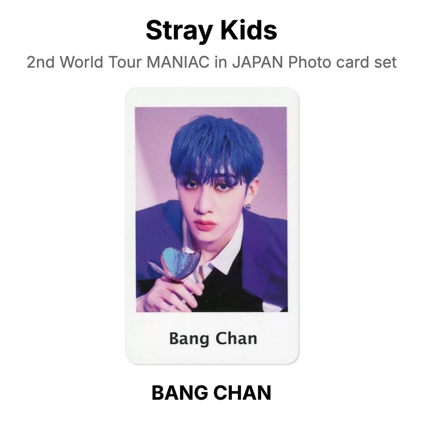 Stray Kids 2nd World Tour MANIAC in JAPAN Photo card set официальная фотокарта
