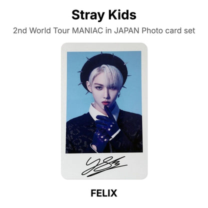 Stray Kids 2nd World Tour MANIAC in JAPAN Photo card set официальная фотокарта