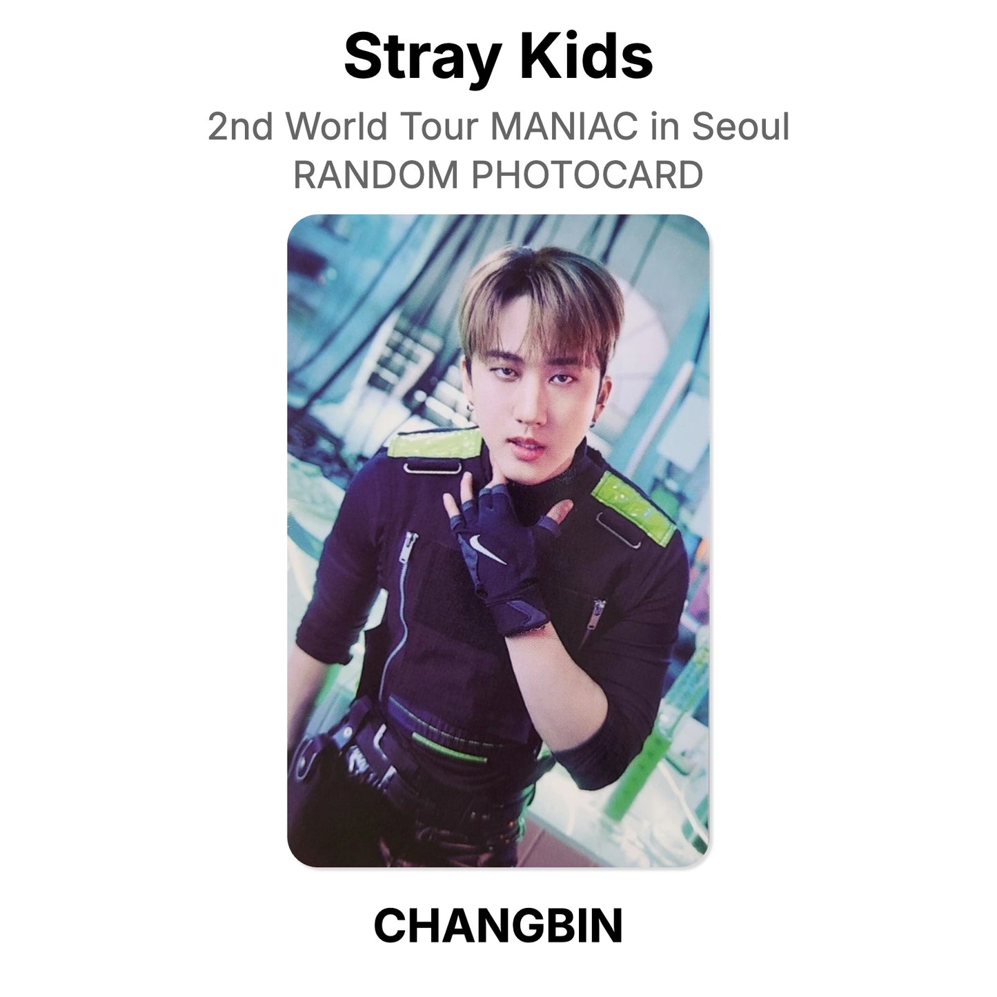 Stray Kids 2nd World Tour MANIAC in Seoul RANDOM PHOTOCARD Offizielle Photocard
