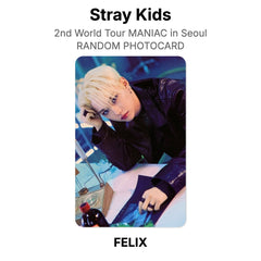 FELIX 02