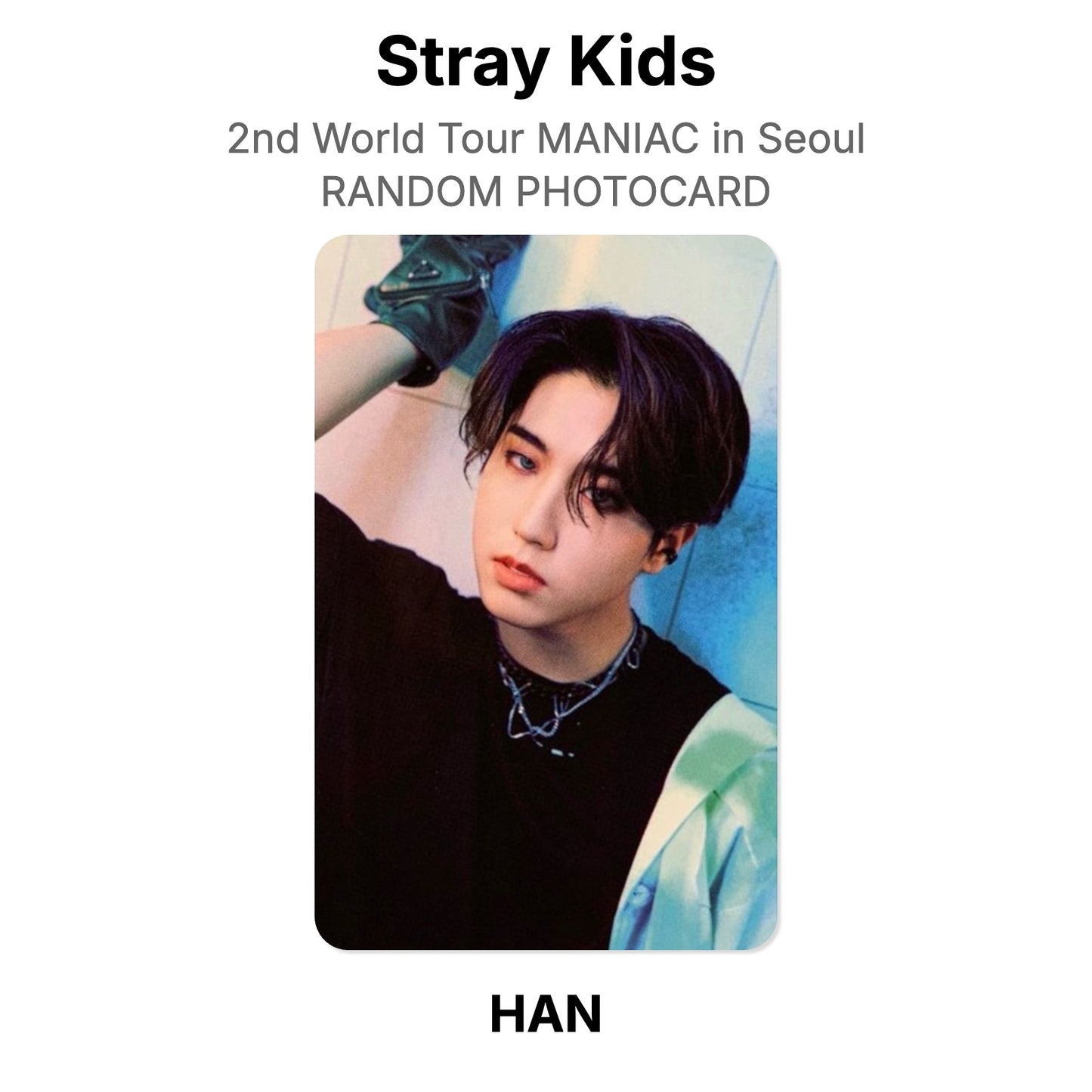Stray Kids 2nd World Tour MANIAC in Seoul RANDOM PHOTOCARD Offizielle Photocard