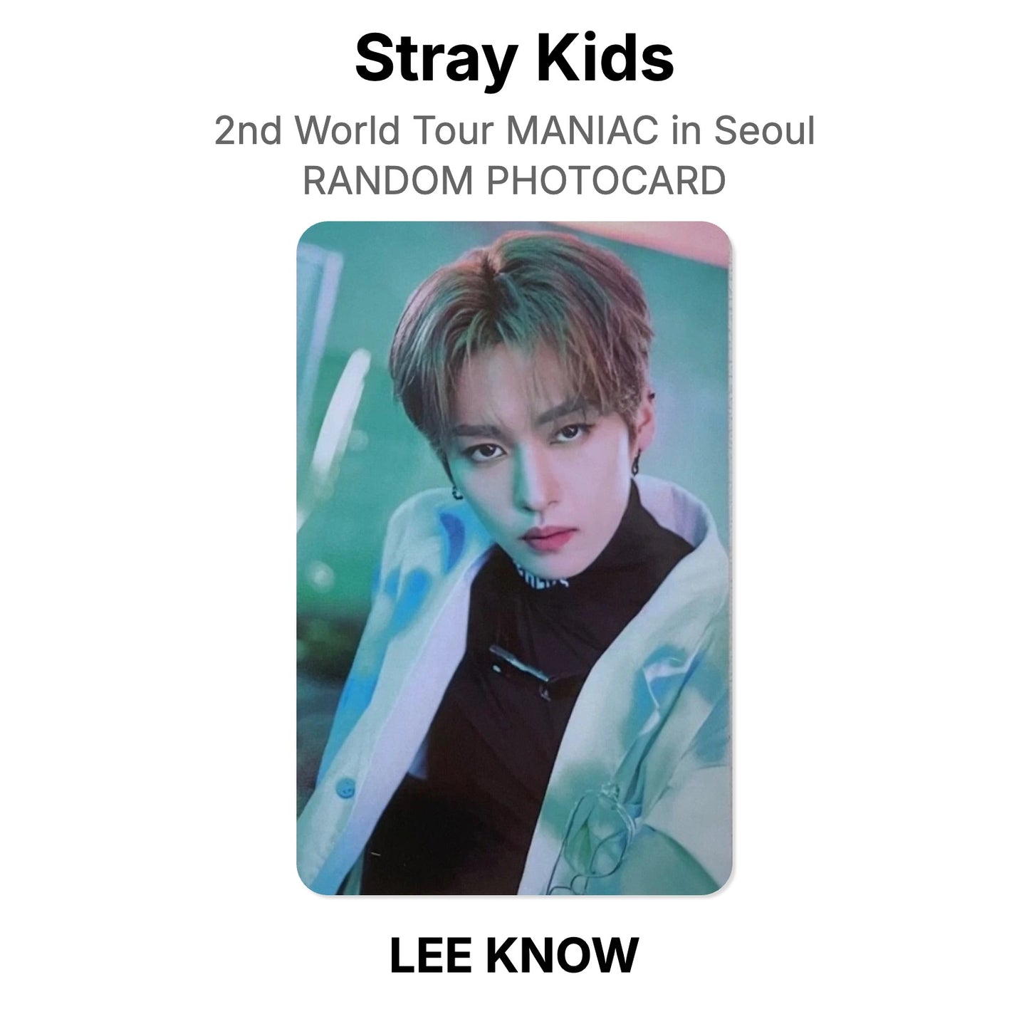 Stray Kids 2nd World Tour MANIAC in Seoul RANDOM PHOTOCARD Offizielle Photocard