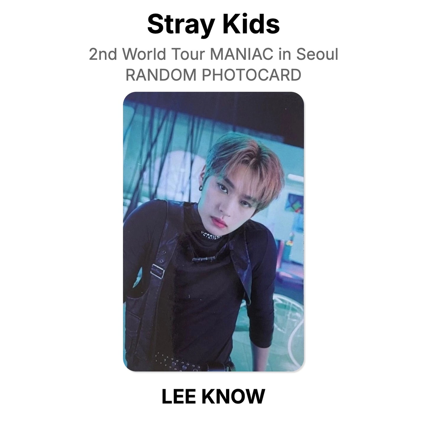Stray Kids 2nd World Tour MANIAC in Seoul RANDOM PHOTOCARD Offizielle Photocard