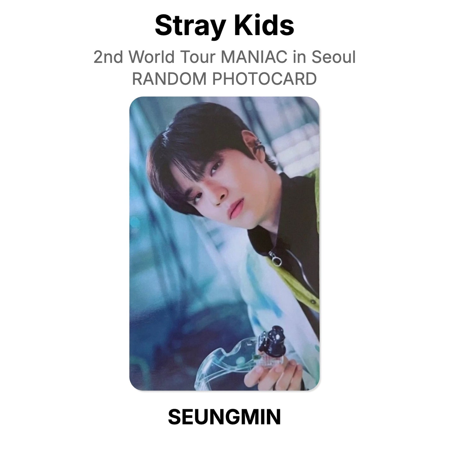 Stray Kids 2nd World Tour MANIAC in Seoul RANDOM PHOTOCARD Offizielle Photocard