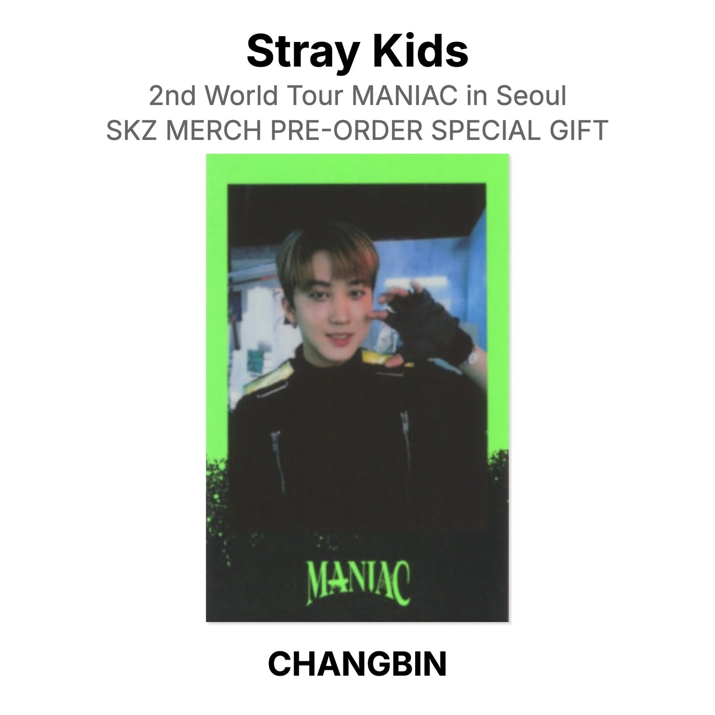 Stray Kids 2nd World Tour MANIAC in Seoul SKZ MERCH PRE-ORDER SPECIAL GIFT Offizielle Photocard