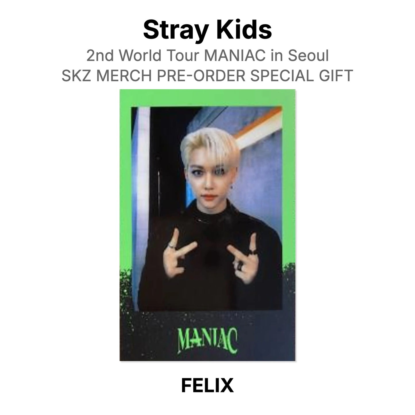 Stray Kids 2nd World Tour MANIAC in Seoul SKZ MERCH PRE-ORDER SPECIAL GIFT Offizielle Photocard