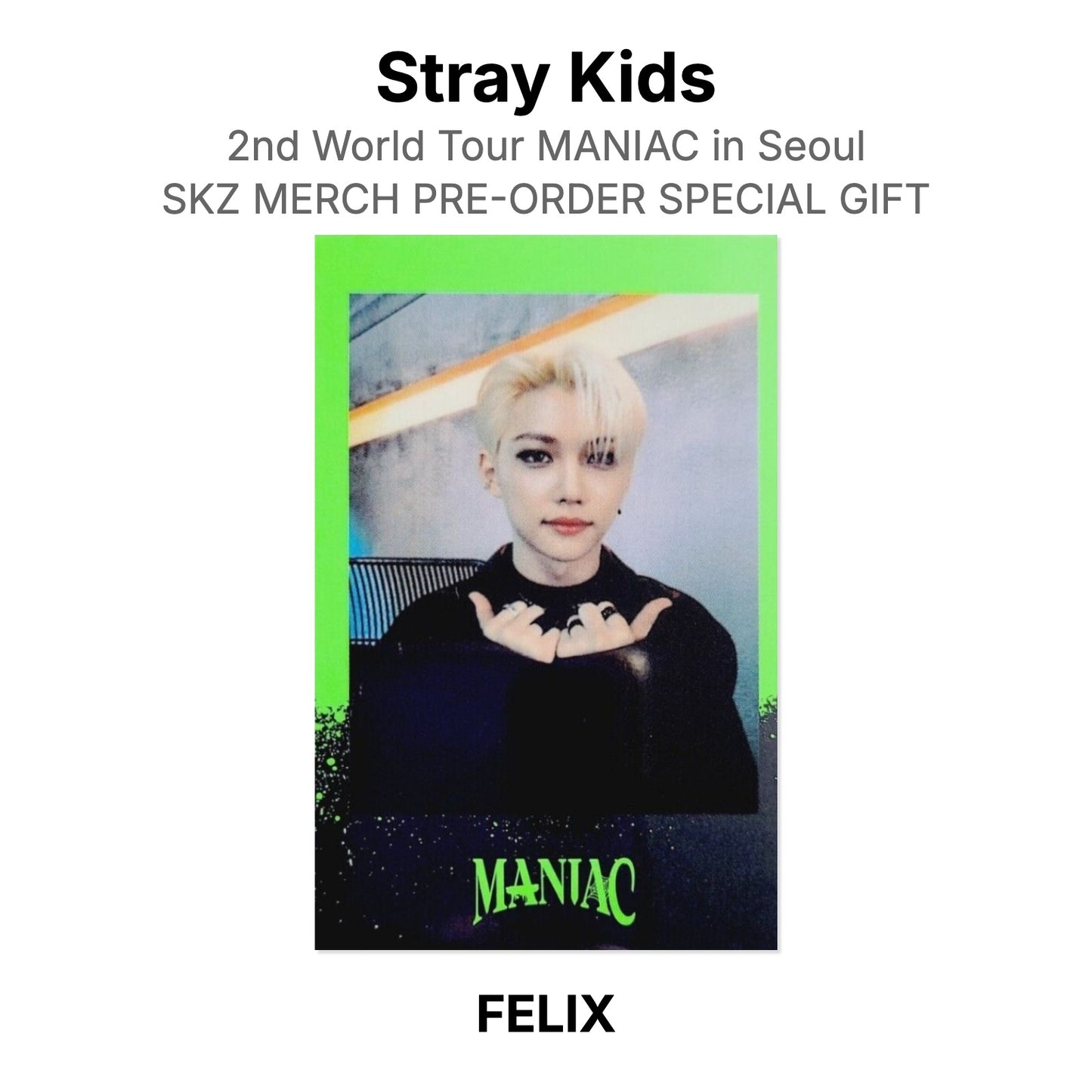 Stray Kids 2nd World Tour MANIAC in Seoul SKZ MERCH PRE-ORDER SPECIAL GIFT Offizielle Photocard