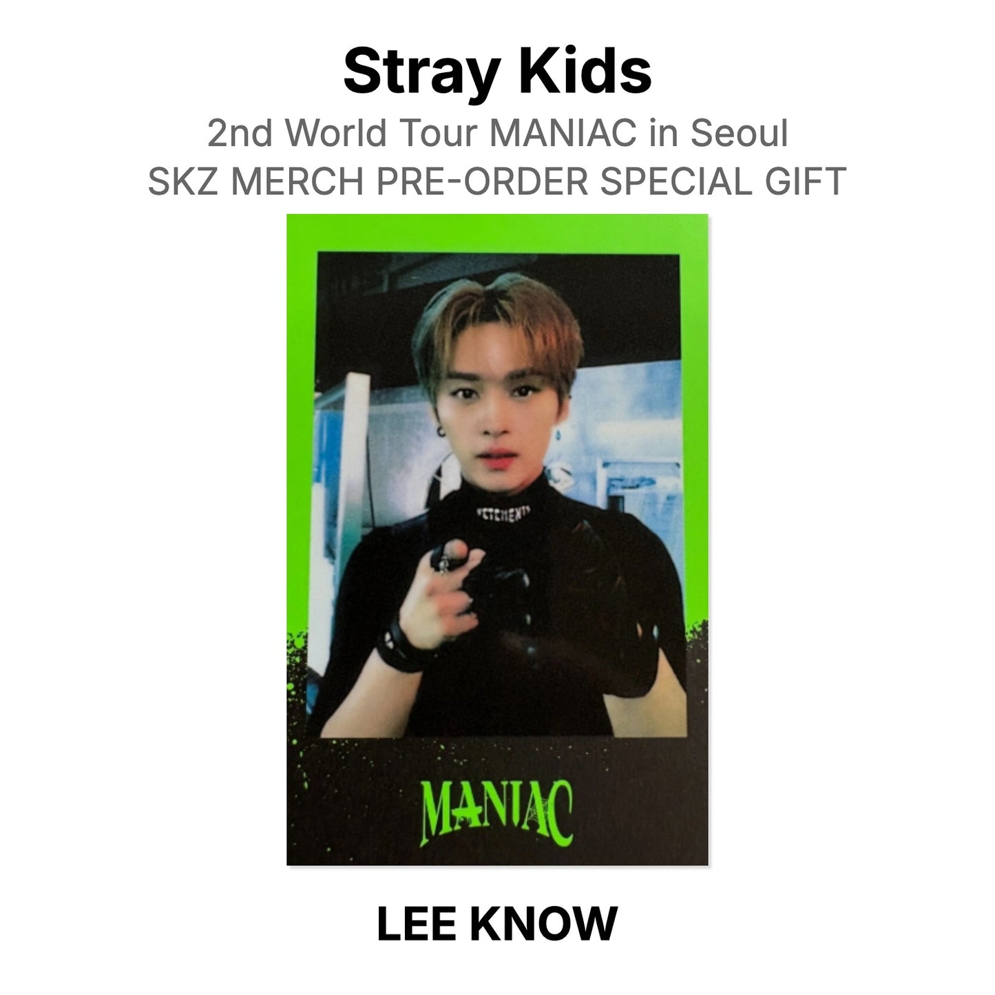 Stray Kids 2nd World Tour MANIAC in Seoul SKZ MERCH PRE-ORDER SPECIAL GIFT Offizielle Photocard
