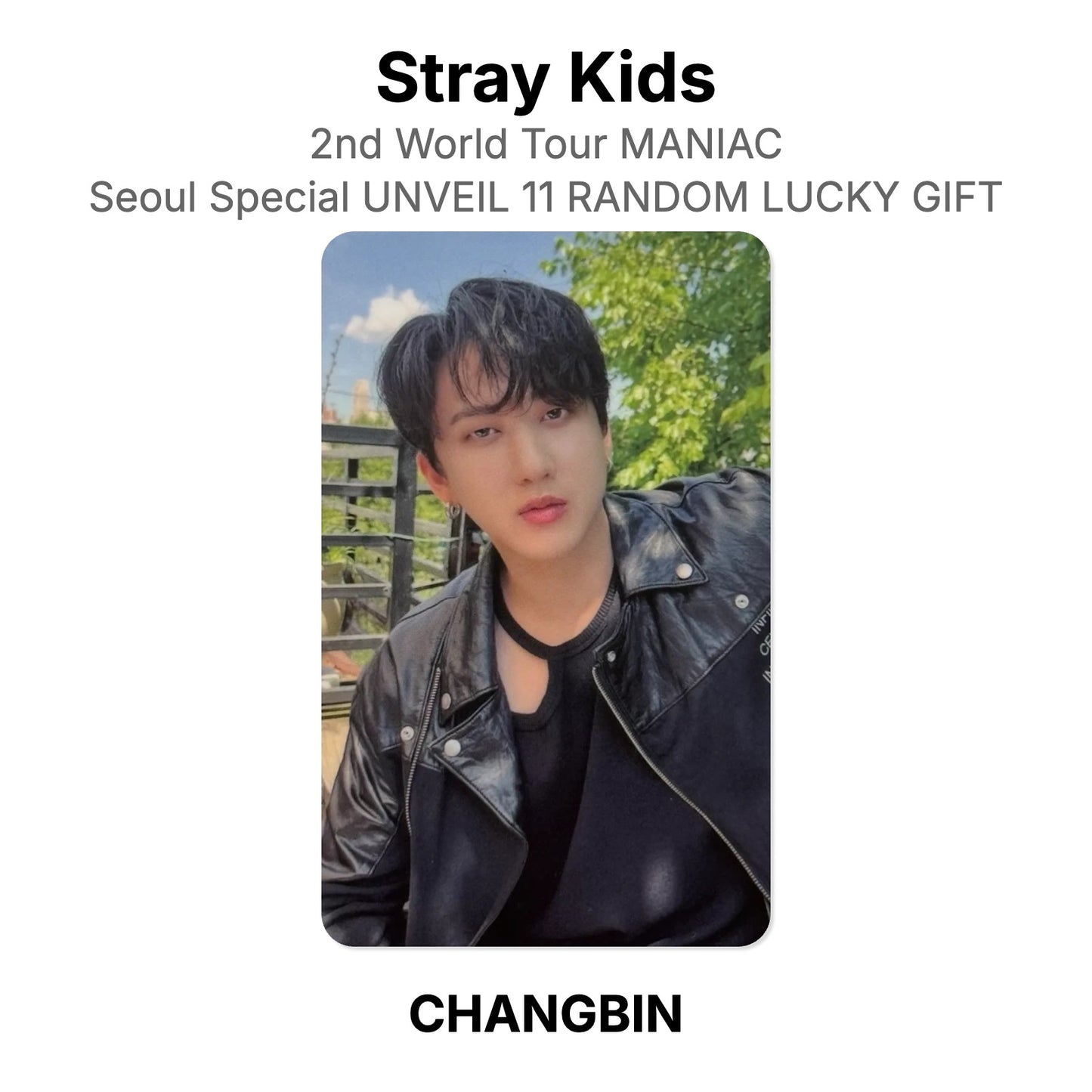 Stray Kids 2nd World Tour MANIAC Seoul Special UNVEIL 11 RANDOM LUCKY GIFT virallinen Photocard