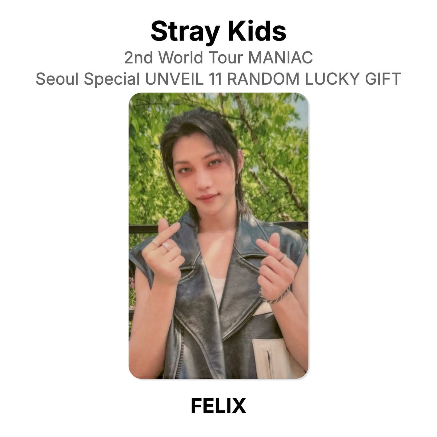 Stray Kids 2nd World Tour MANIAC Seoul Special UNVEIL 11 RANDOM LUCKY GIFT virallinen Photocard