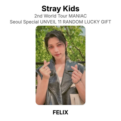 Stray Kids 2nd World Tour MANIAC Seoul Special UNVEIL 11 RANDOM LUCKY GIFT virallinen Photocard