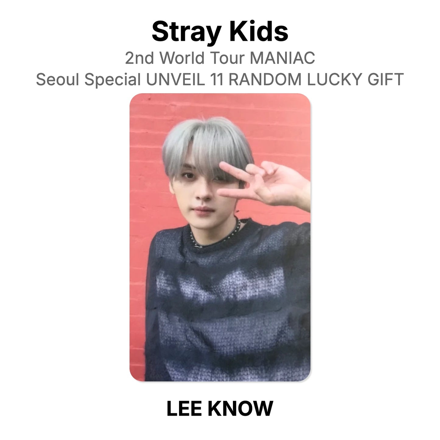 Stray Kids 2nd World Tour MANIAC Seoul Special UNVEIL 11 RANDOM LUCKY GIFT virallinen Photocard