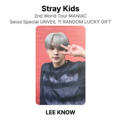 Stray Kids 2nd World Tour MANIAC Seoul Special UNVEIL 11 RANDOM LUCKY GIFT virallinen Photocard