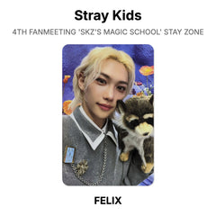 FELIX 04