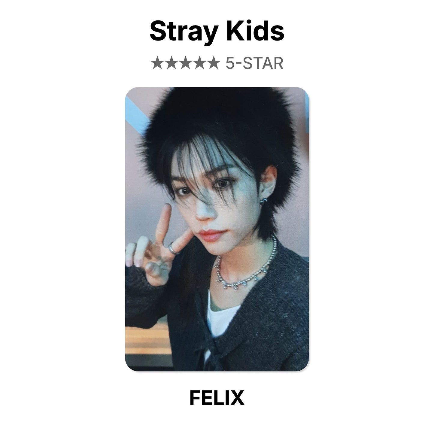 Stray Kids 5-STAR Offizielle Photocard