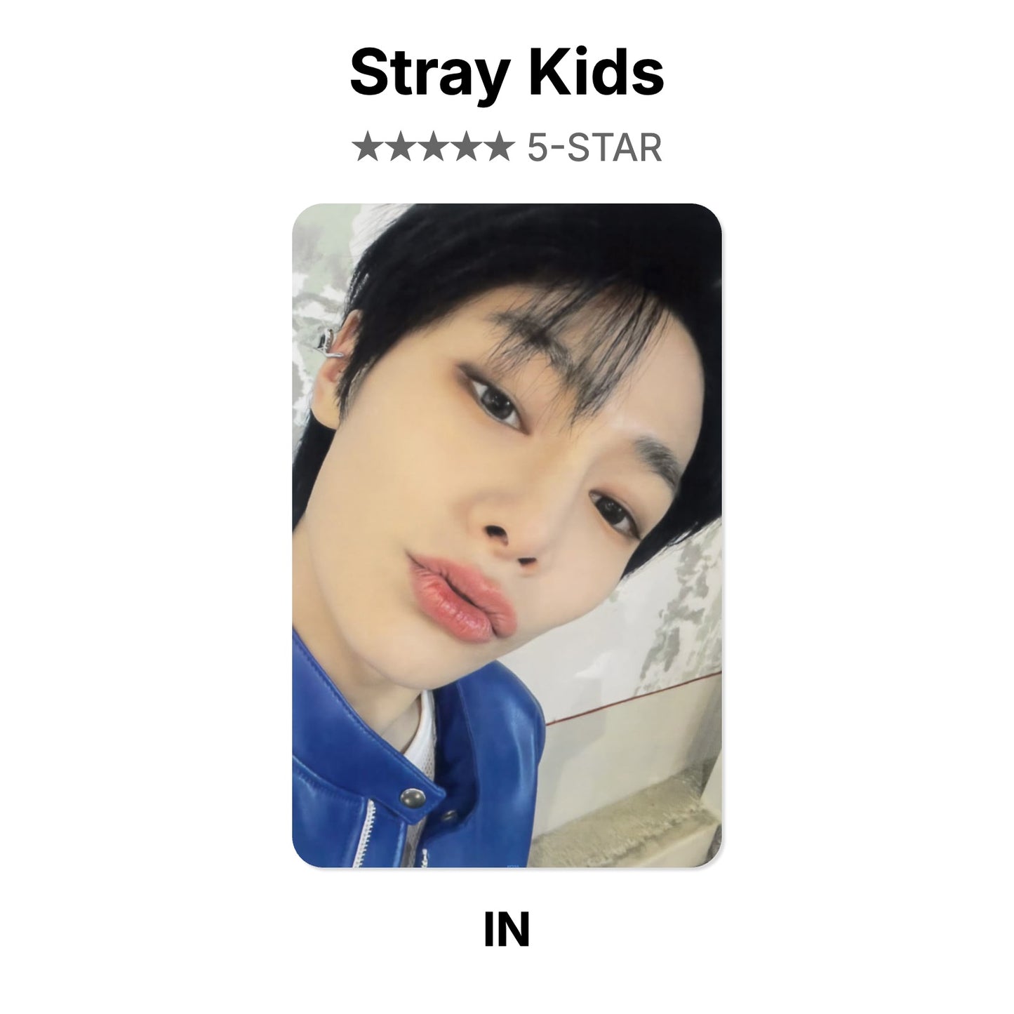 Stray Kids 5-STAR Offizielle Photocard