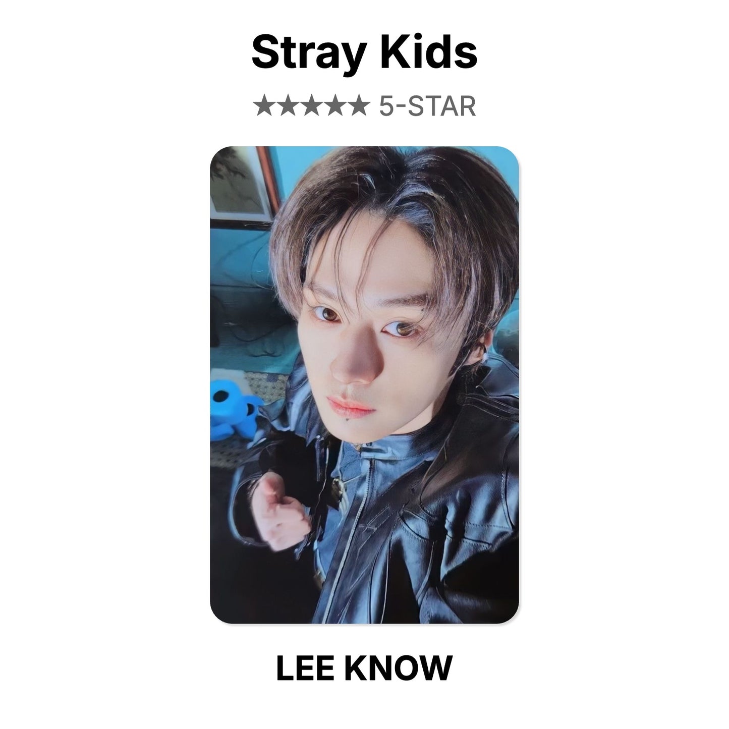 Stray Kids 5-STAR Offizielle Photocard