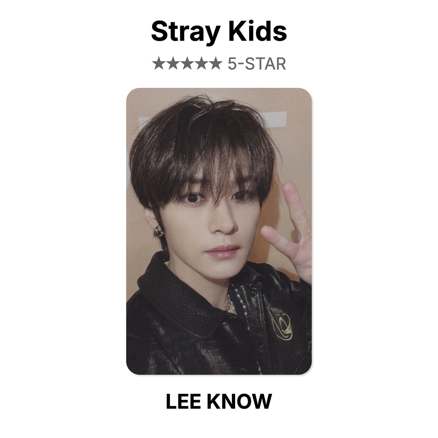 Stray Kids 5-STAR Offizielle Photocard