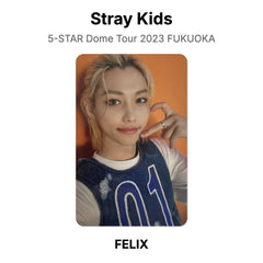 FELIX 02