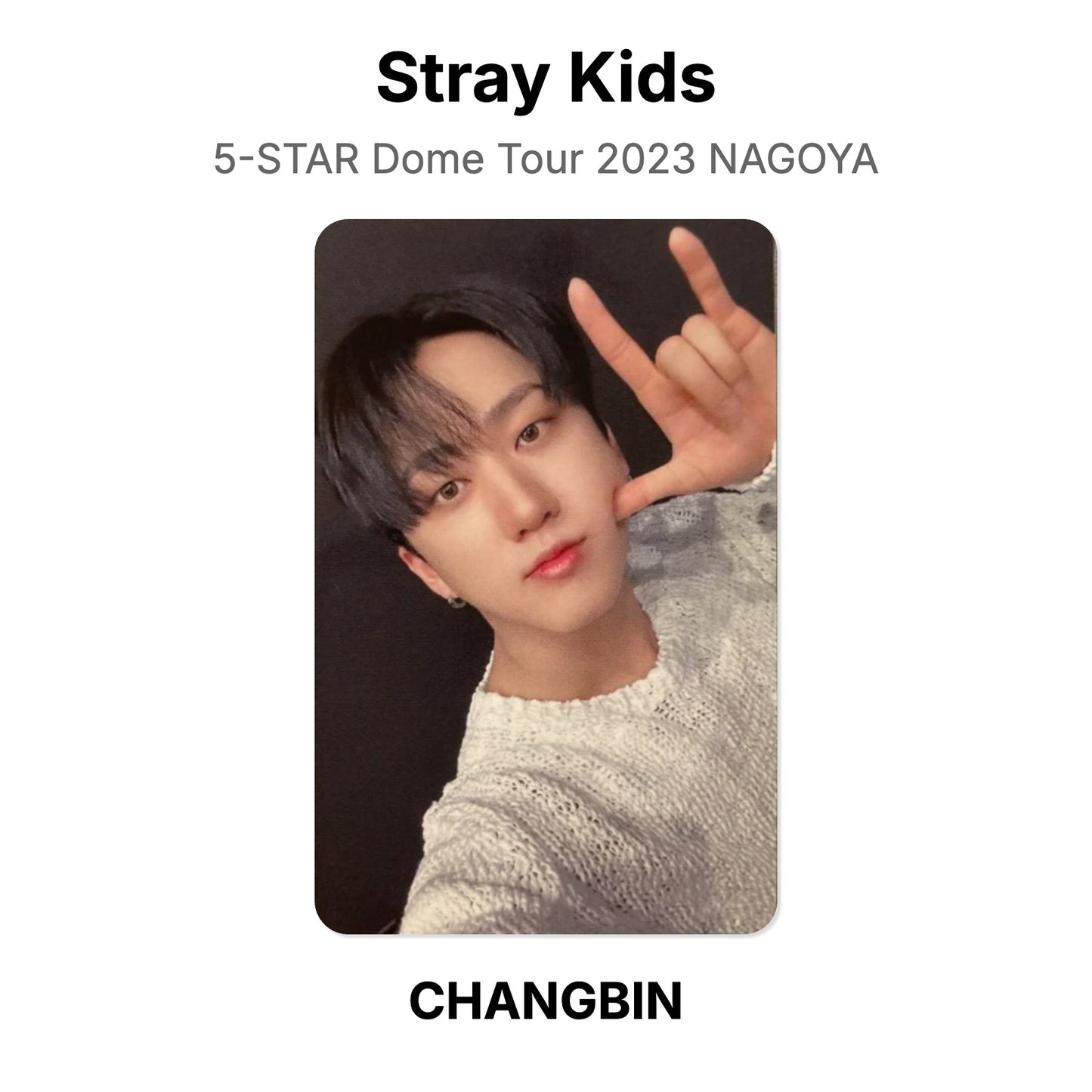 Stray Kids 5-STAR Dome Tour 2023 NAGOYA photocard officielle
