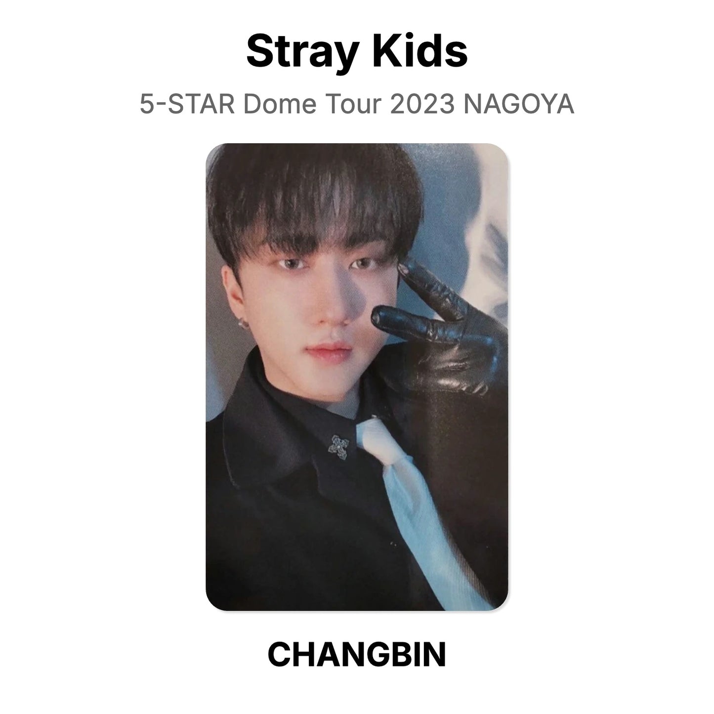 Stray Kids 5-STAR Dome Tour 2023 NAGOYA photocard officielle