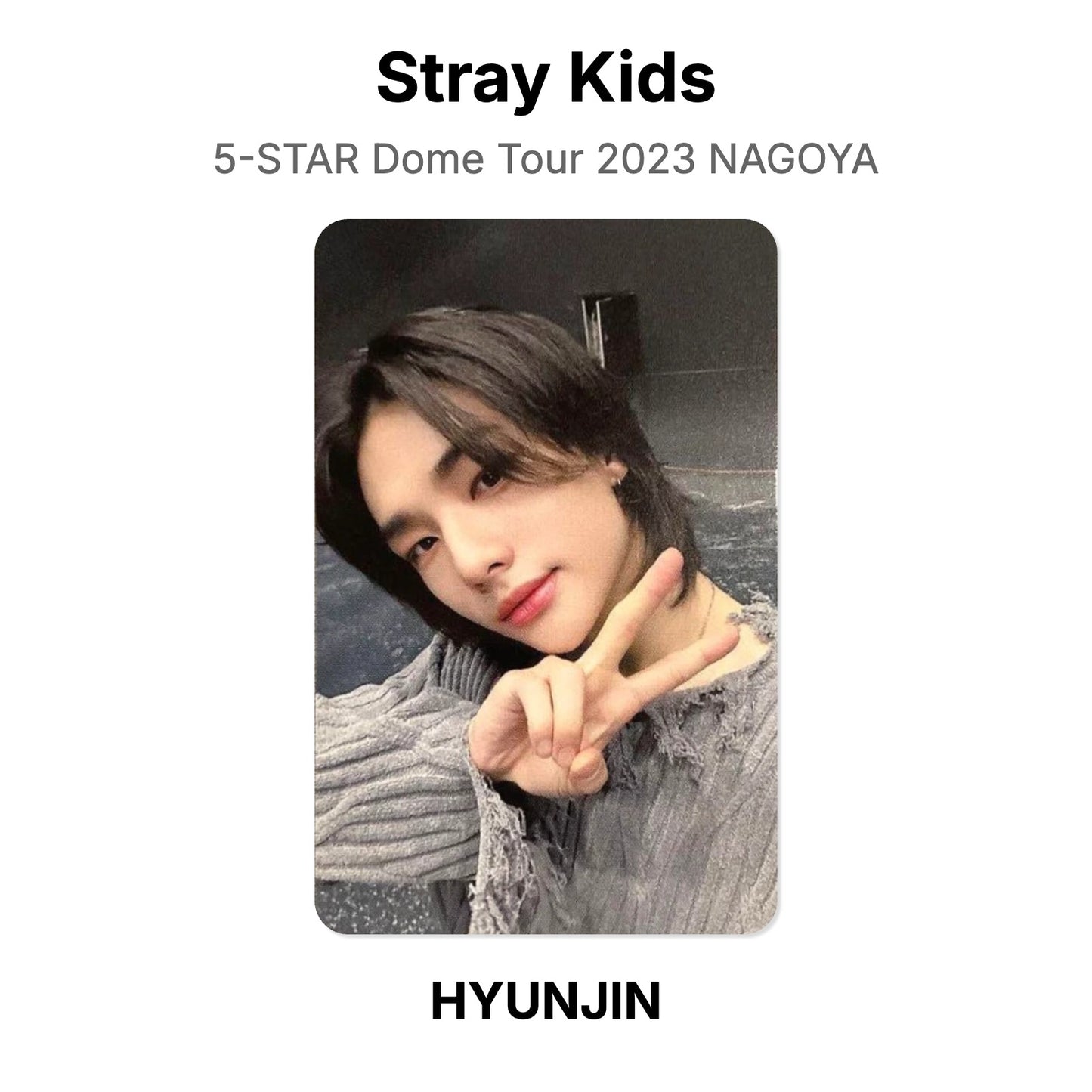 Stray Kids 5-STAR Dome Tour 2023 NAGOYA photocard officielle